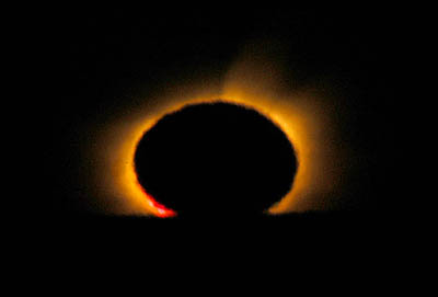totalityNN_0029