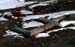 BQ_Matri_base_10_23_03