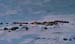 BU_airstrip_camp_10_23_03