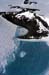 CK_beachfront_nearNovo_10_23_03