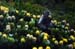 capegoodhope_eats