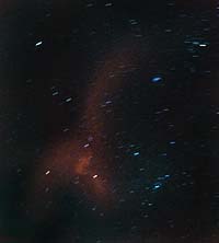 Leonid Trail after Fireball (C)1998 Vic Winter/ICSTARS Astronomy