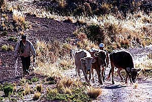 Bolivia Slide