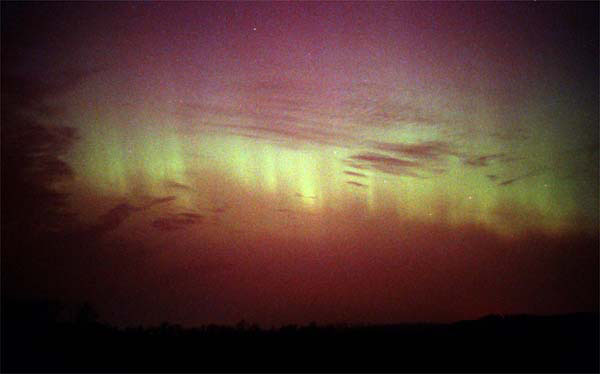 Aurora01_Wald_3_31_01_Net