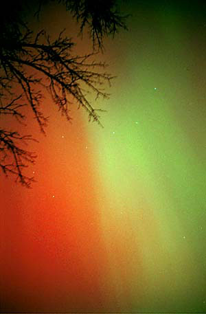 Aurora02_RP_3_31_01_Net