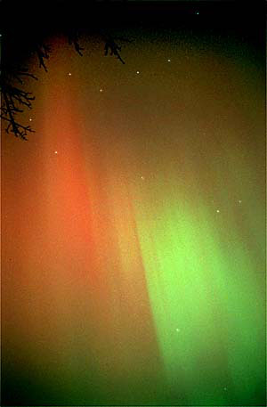 Aurora04_RP_3_31_01_Net