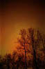 Aurora09_RP_3_31_01_Net
