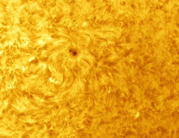 Sunspot 1115