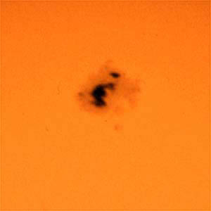 WL_Clup_6_6_91_big_sunspot