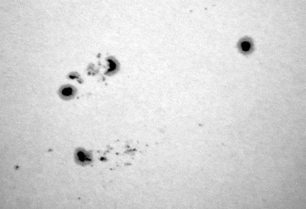 WL_sunspots_6_29_91_20mm1