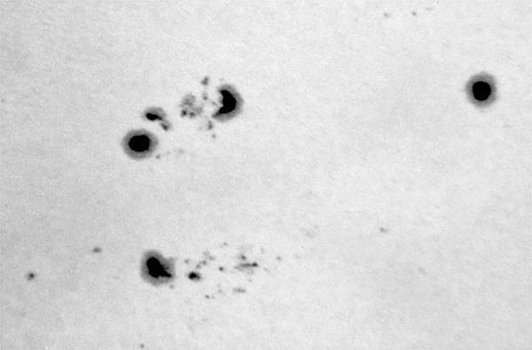 WL_sunspots_6_29_91_20mm2