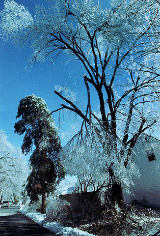 icestorm14