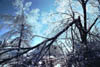 icestorm17