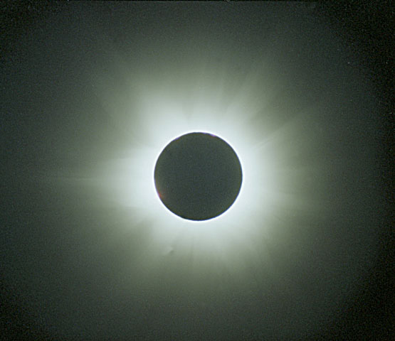totalitycorona