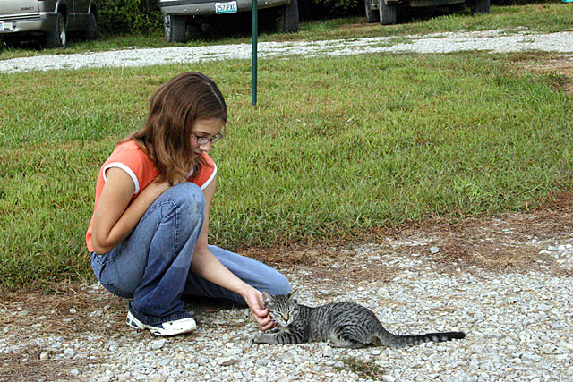 17 Cute-Kitty-0571