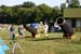 06 Big-dobs-on-the-field-486