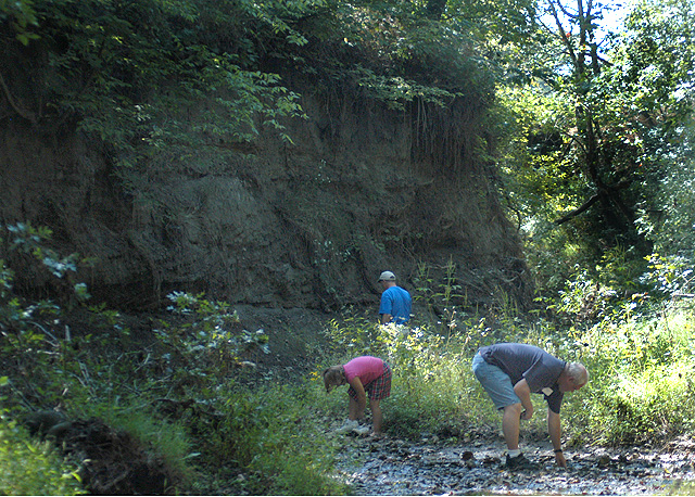 fossil_hunt_04