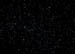 Cygnus