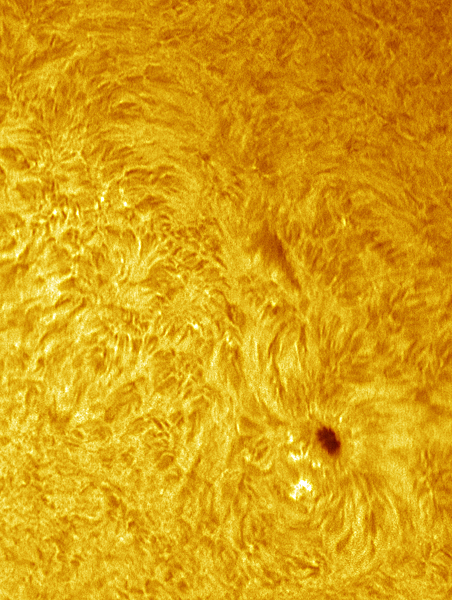 Sunspot 1113 